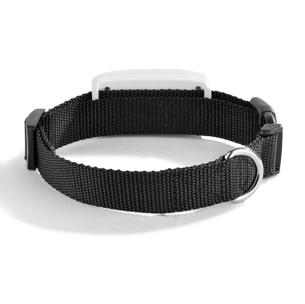 Ultimate Pet GPS Tracker - Waterproof & Reliable