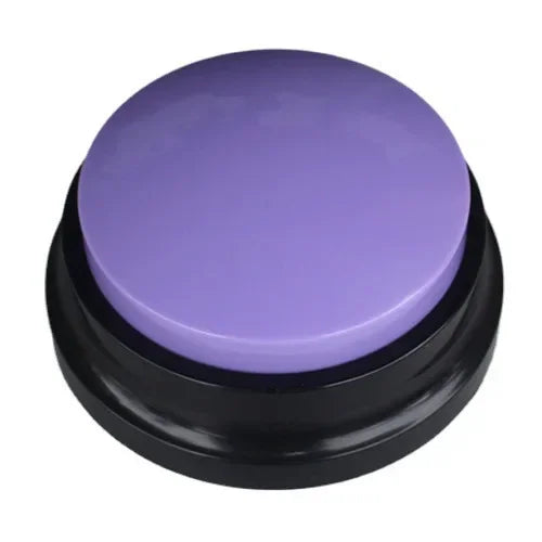 Interactive Pet Communication Button