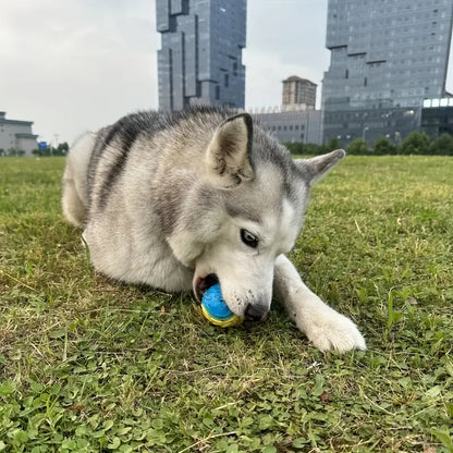 Interactive Squeaky Dog Ball for Teeth Cleaning
