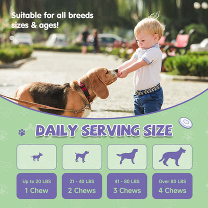 Dog Allergy Chews, with Hydrolyzed Protein, Omega-3 Complex, Probiotic Pro-6, Aloe Vera Polysaccharides + Chamomile, Zinc + B Vitamins, Suitable for All Breeds