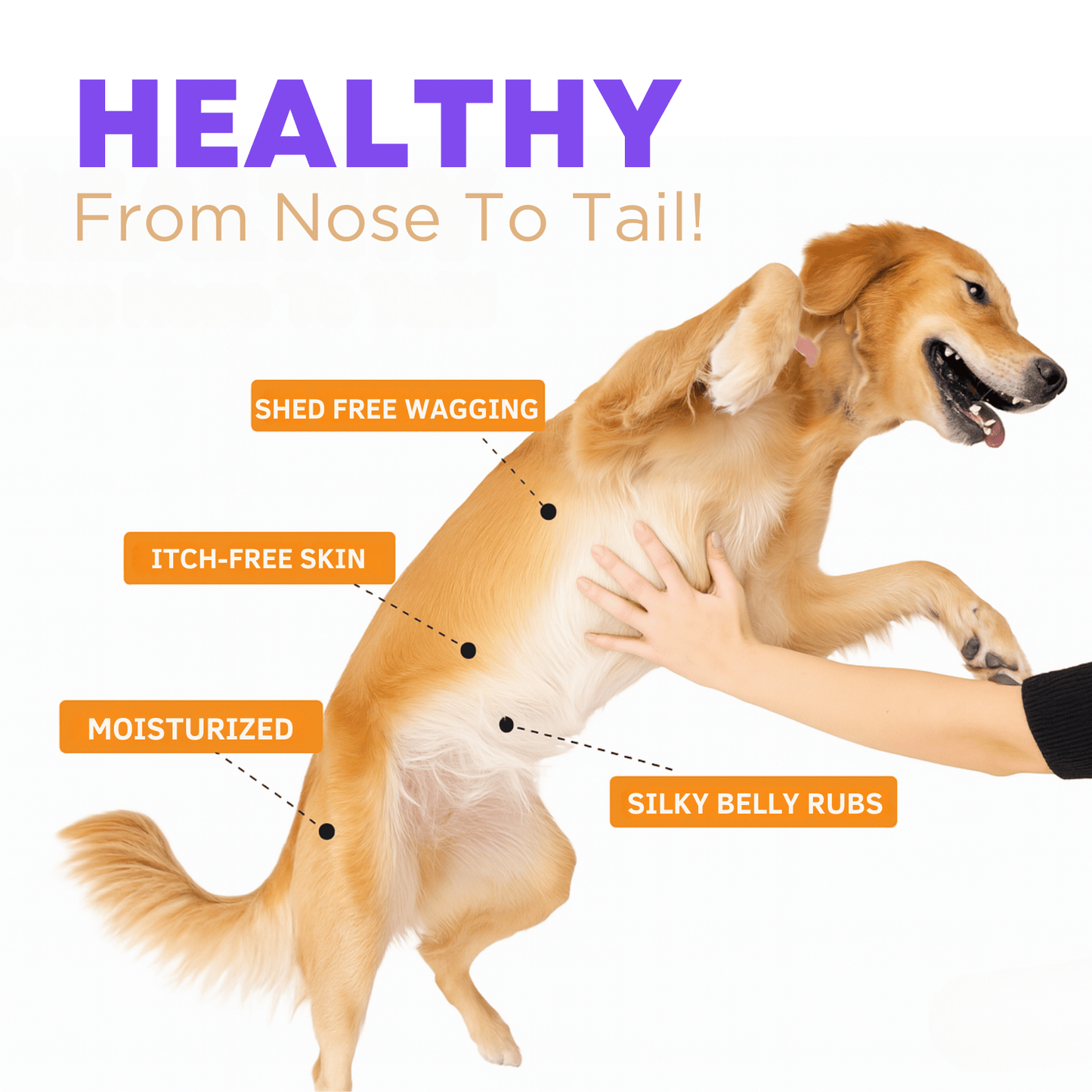 Itchy Dog Skin Relief & Immunity Treats – Powerful Dog Itchy Skin Relief for Itchy Skin, Licking, Scratching, Soothe Itchy Paws, Ears, Skin & Coat and Seasonal Allergies – Natural Health Chews
