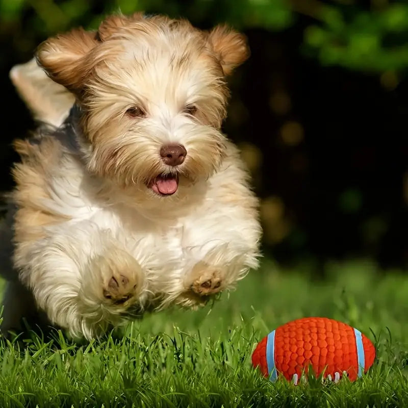 Interactive Squeaky Latex Pet Ball for Dogs
