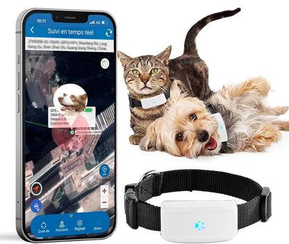Cat & Dog GPS Tracker