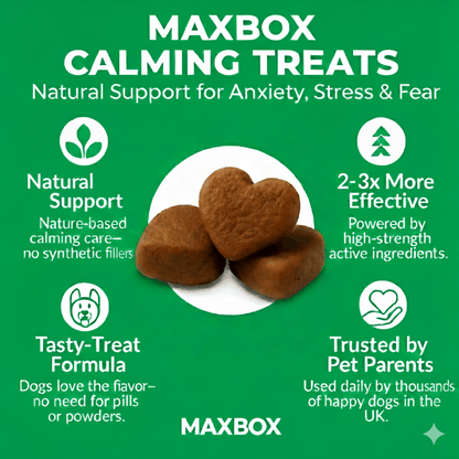 Calming Dog Treats - Dog Calming Tablets That Work, 120 Anxiety Relief Chews for Dogs, Naturally Relieves Stress, Barking, and Hyperactivity, Helping Pets Stay Calm During Fireworks and Thunderstorms