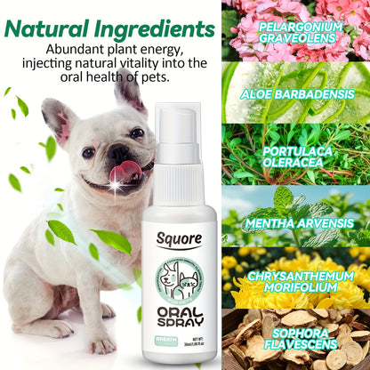 Spray oral para animais de estimação de 30 ml para cães e gatos - Refresca o hálito, limpa entre os dentes, fórmula baseada em plantas para remover odores, cuidados dentários para animais de estimação, refresca o hálito, cuidados dentários | Spray refrescante | Fórmula baseada em plantas