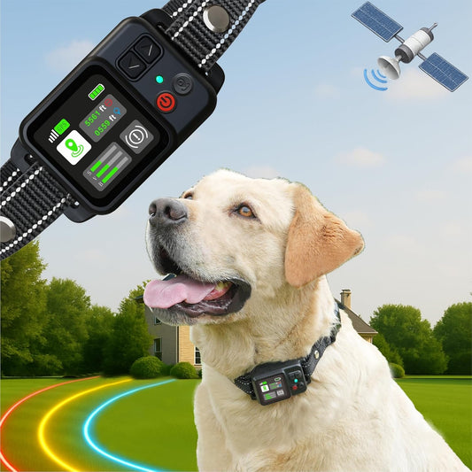 Wireless Dog Fence GPS