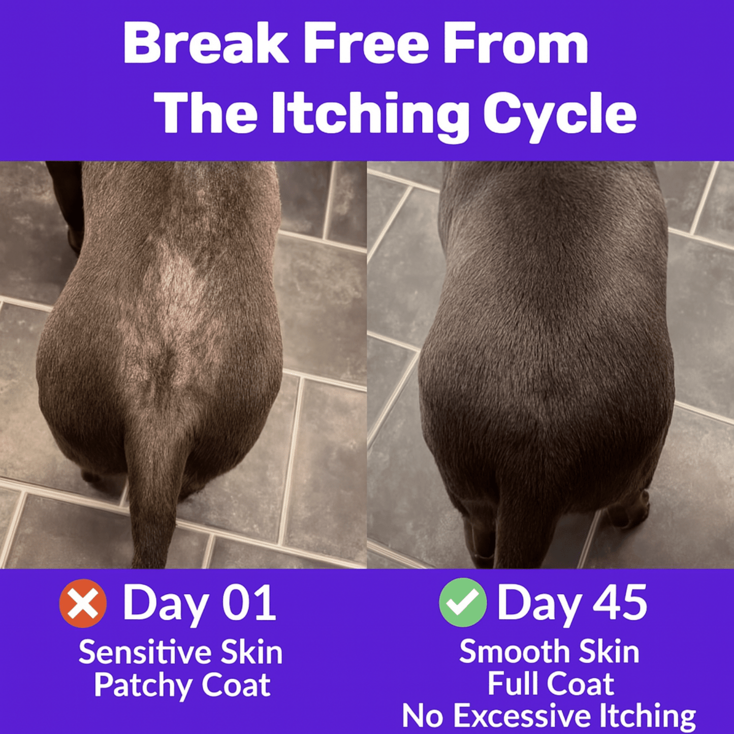 Itchy Dog Skin Relief & Immunity Treats – Powerful Dog Itchy Skin Relief for Itchy Skin, Licking, Scratching, Soothe Itchy Paws, Ears, Skin & Coat and Seasonal Allergies – Natural Health Chews