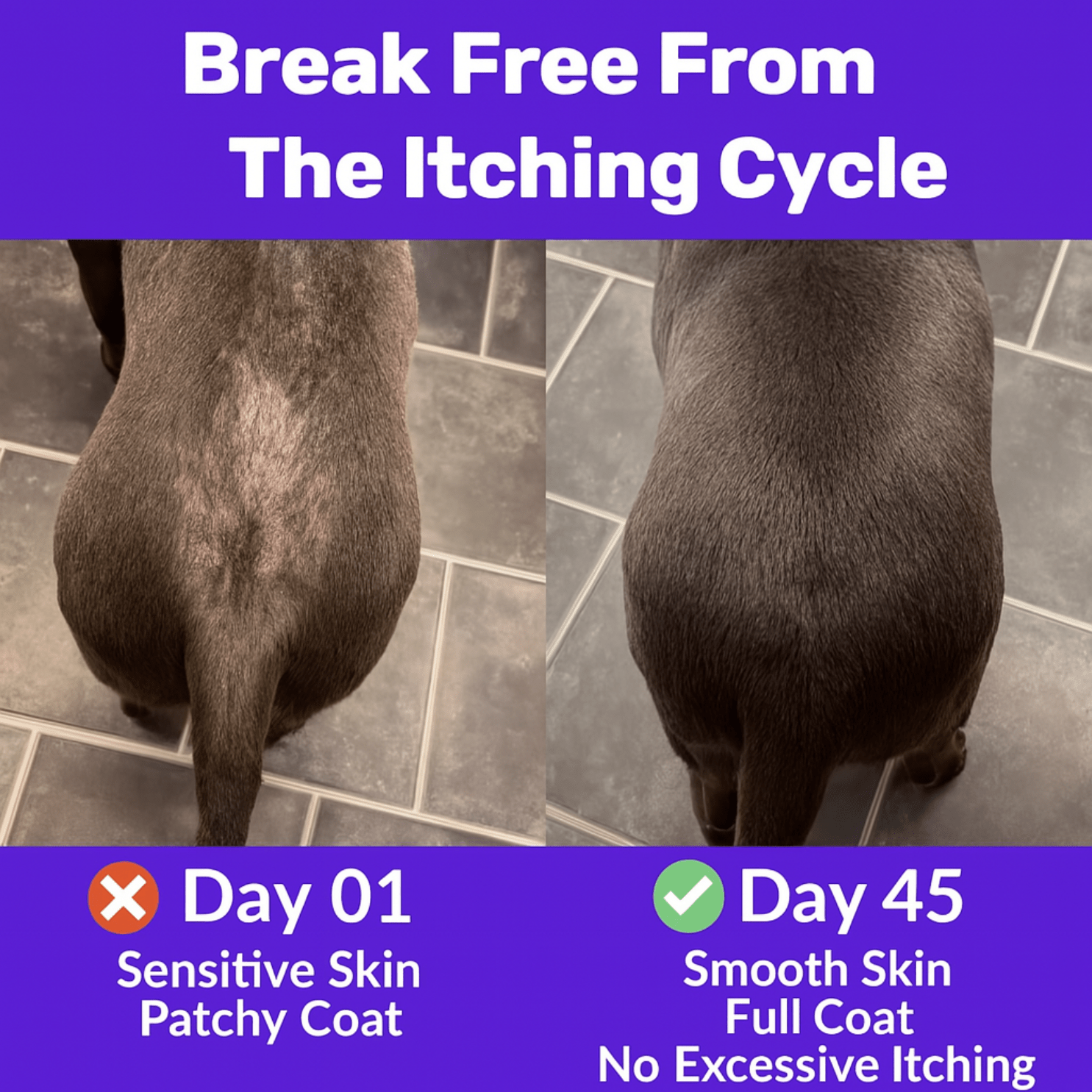 Itchy Dog Skin Relief & Immunity Treats – Powerful Dog Itchy Skin Relief for Itchy Skin, Licking, Scratching, Soothe Itchy Paws, Ears, Skin & Coat and Seasonal Allergies – Natural Health Chews