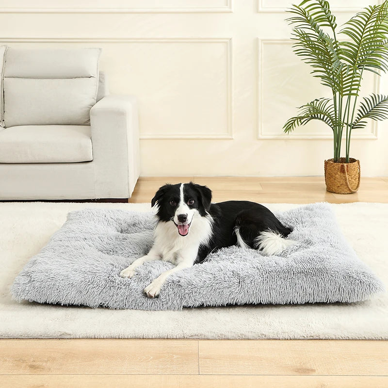 Luxurious Plush Pet Bed