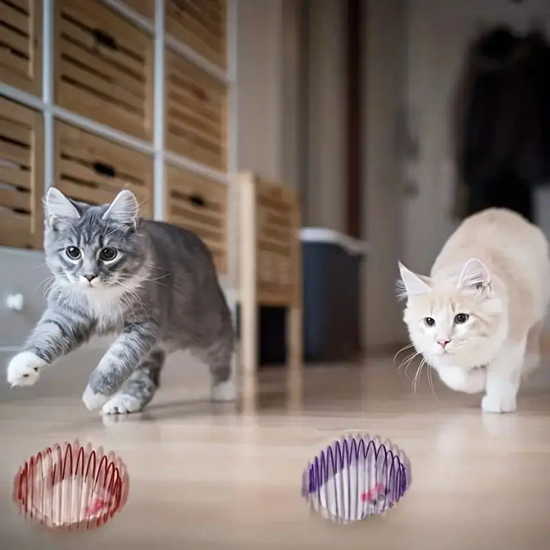 Interactive Cat Toy Balls - Stretchable & Engaging