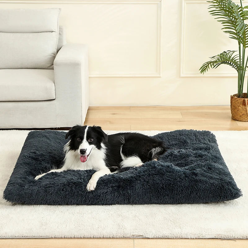 Luxurious Plush Pet Bed