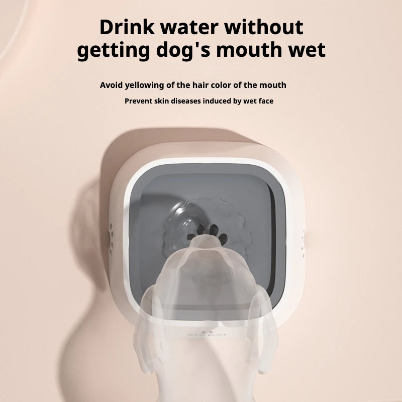 No Spill Dog Water Bowl with Floating Disk