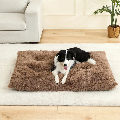 Luxurious Plush Pet Bed