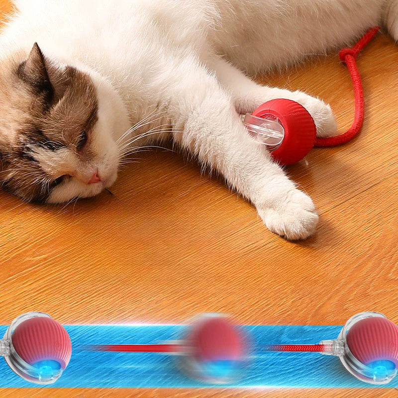 Smart Interactive Cat Ball Toy - Rechargeable & Fun