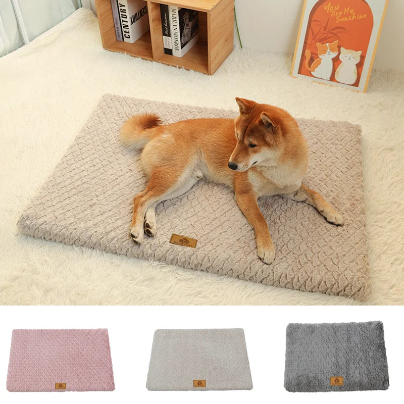 Orthopedic 3D Foam Dog Bed with Washable Cover