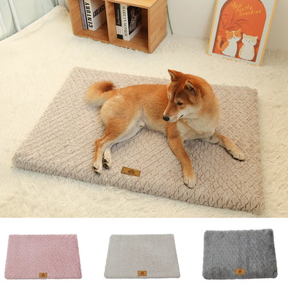 Orthopedic 3D Foam Dog Bed with Washable Cover