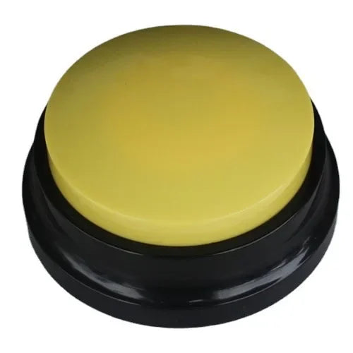 Interactive Pet Communication Button