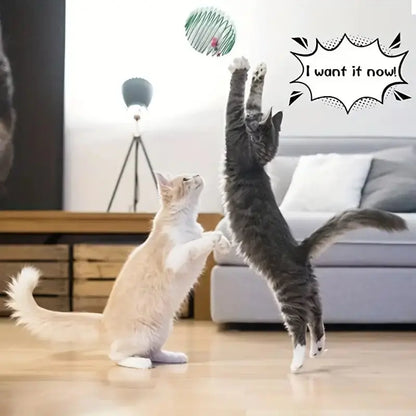 Interactive Cat Toy Balls - Stretchable & Engaging
