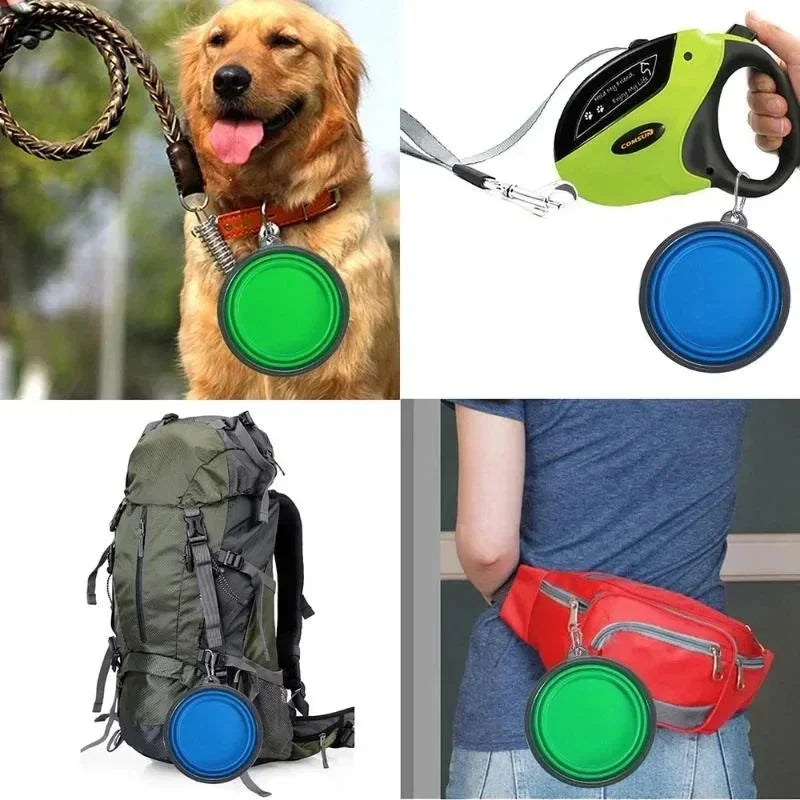 Compact Pet Travel Bowl 350mL - Portable & Durable