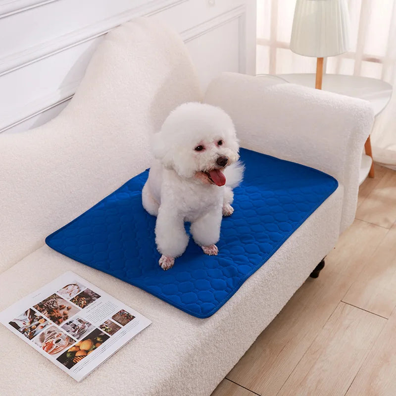 Ultra Absorbent Reusable Pet Training Pad