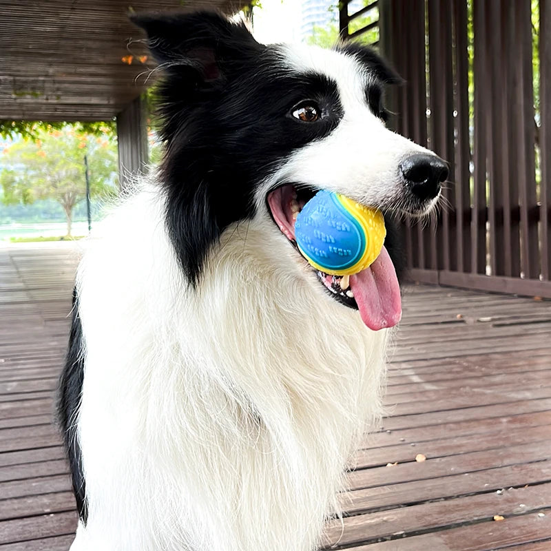 Interactive Squeaky Dog Ball for Teeth Cleaning