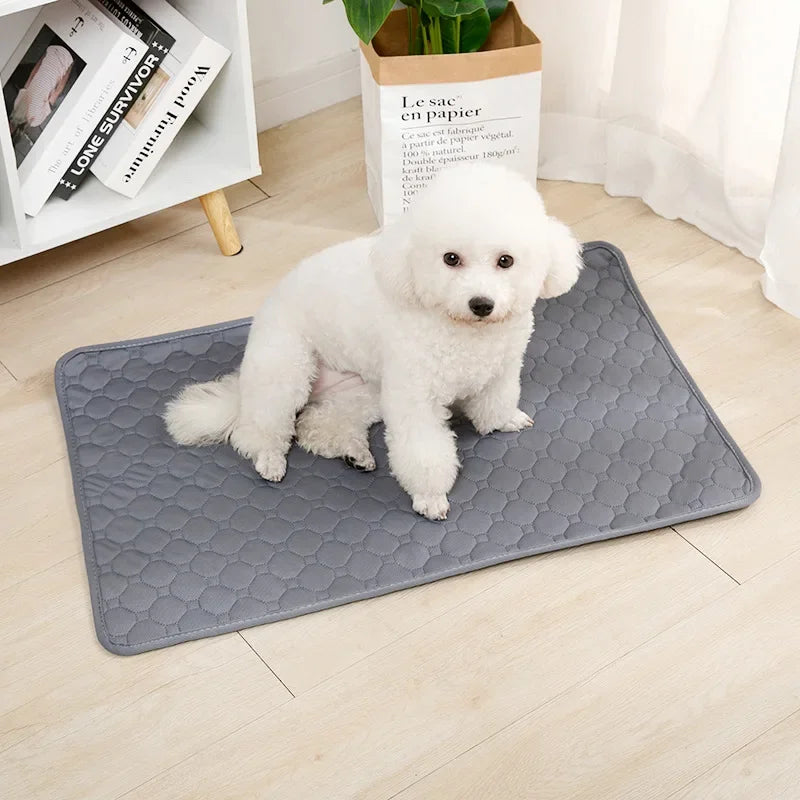 Ultra Absorbent Reusable Pet Training Pad