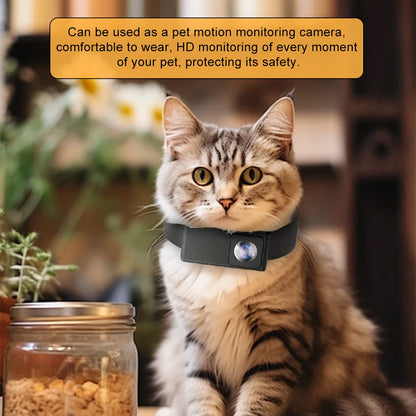 Pet Collar Camera