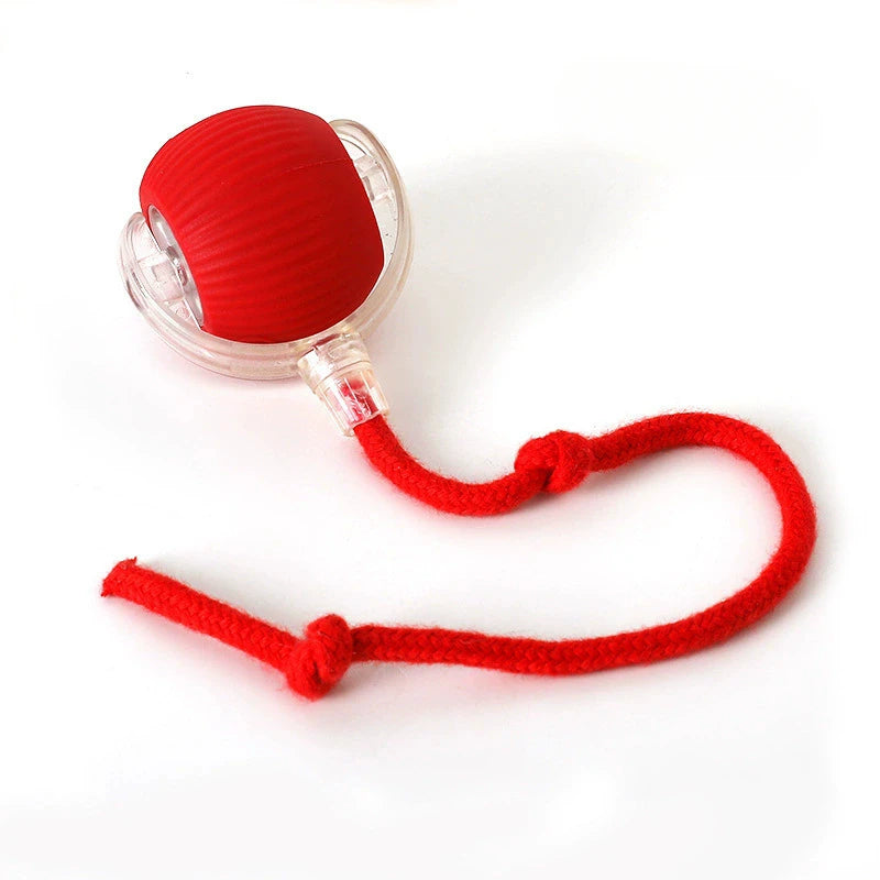 Smart Interactive Cat Ball Toy - Rechargeable & Fun