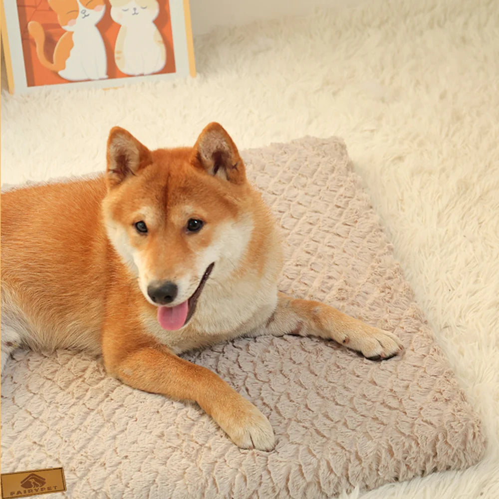 Orthopedic 3D Foam Dog Bed with Washable Cover