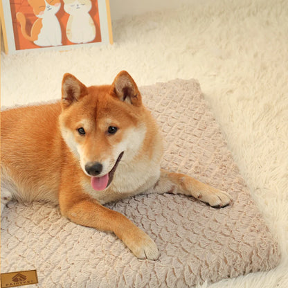 Orthopedic 3D Foam Dog Bed with Washable Cover