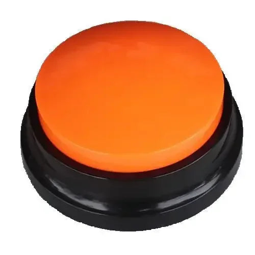 Interactive Pet Communication Button