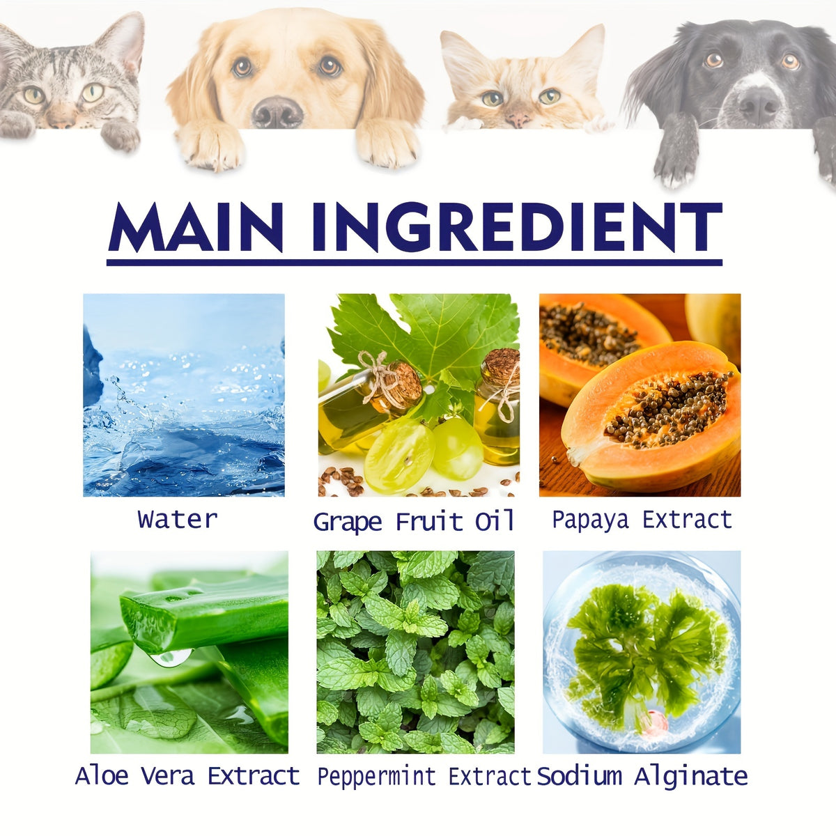 Pet Toothpaste - Dental Hygiene Kit For Cleaning Mouth, Odor, Tartar & Gum Care