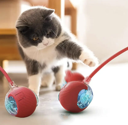 Smart Interactive Cat Ball Toy - Rechargeable & Fun