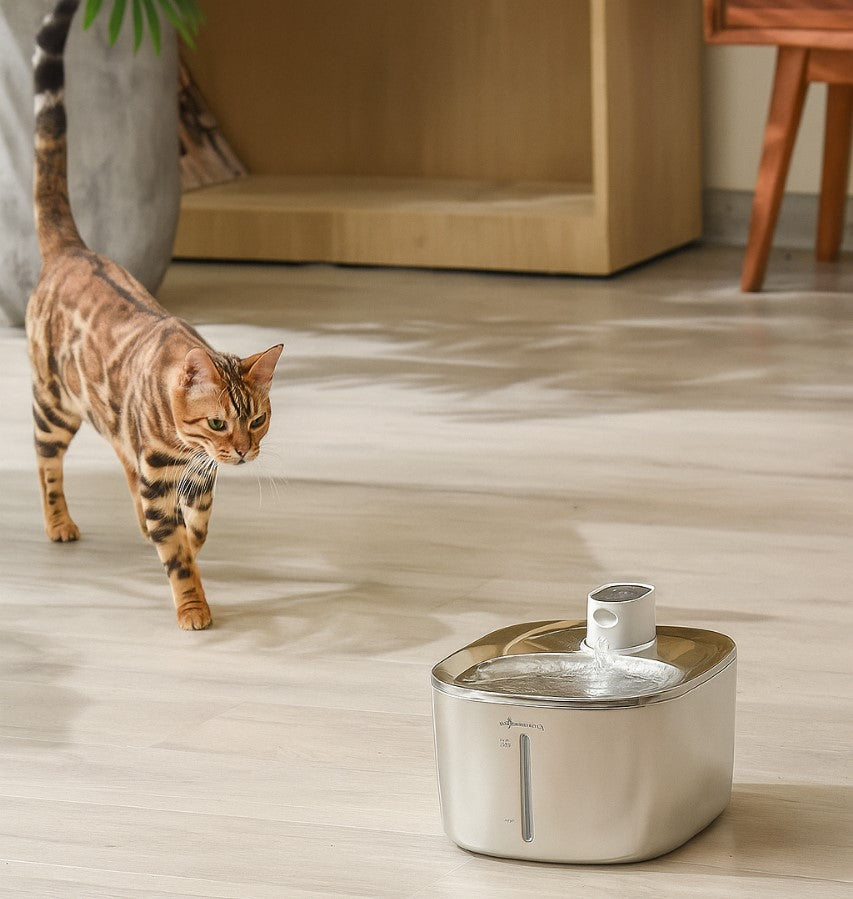 Wireless 4L Cat Water Fountain