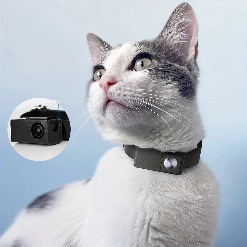 Pet Collar Camera