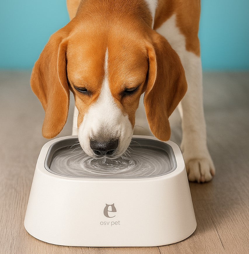 No Spill Dog Water Bowl with Floating Disk