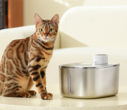 Wireless 4L Cat Water Fountain