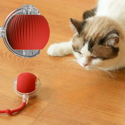 Smart Interactive Cat Ball Toy - Rechargeable & Fun