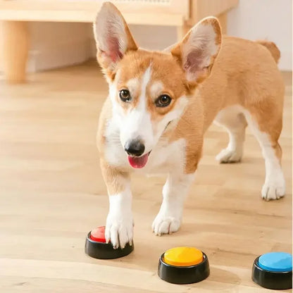 Interactive Pet Communication Button