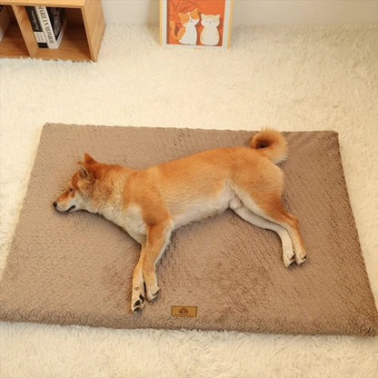 Orthopedic 3D Foam Dog Bed with Washable Cover