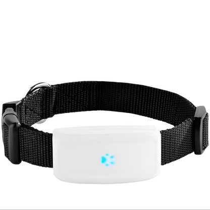 Cat & Dog GPS Tracker